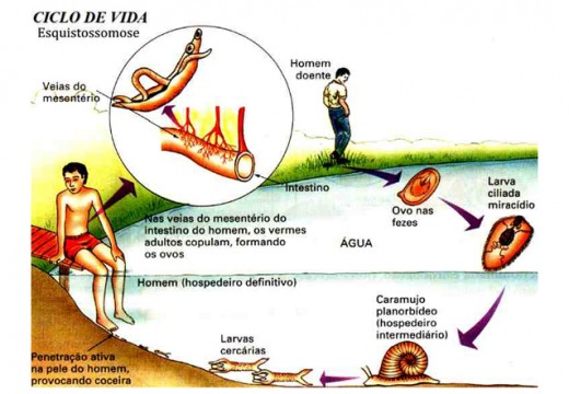 SESAU oferece qualificação em parasitologia