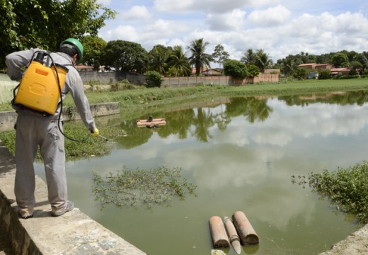Tratamento contra mosquitos é iniciado em rios, lagoas e lagos