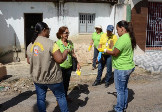 Mutirão Social de combate à Dengue acontece neste domingo, 08