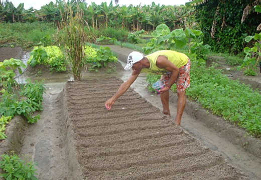 Prefeitura sedia Curso de Assistência Técnica Rural