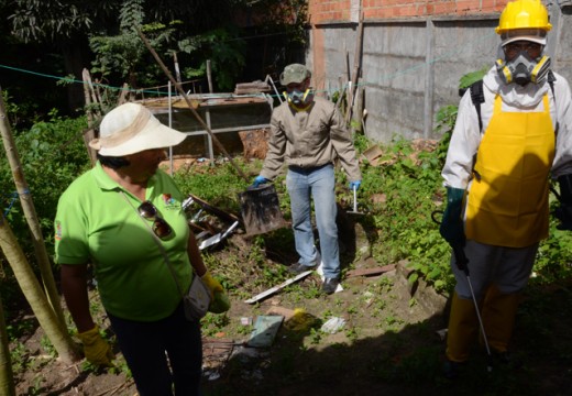 Cuidados com dengue devem ser intensificados no período de chuvas