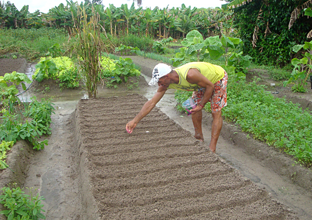 curso de assistencia tecnica rural