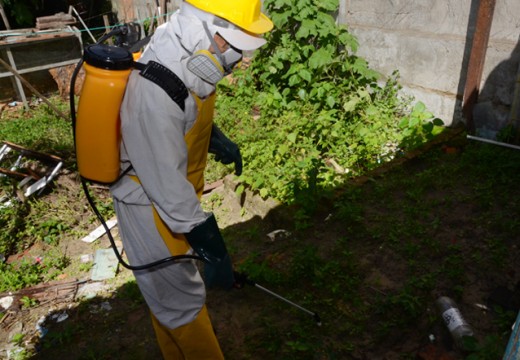 Trabalhadores da Biosanear terão palestra de ao Aedes aegypti