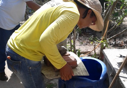 Ação nacional de combate à dengue contará com diversos órgãos nesse sábado, 13