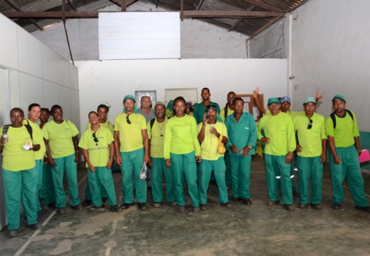 Trabalhadores da Biosanear recebem palestra de combate ao Aedes aegypti
