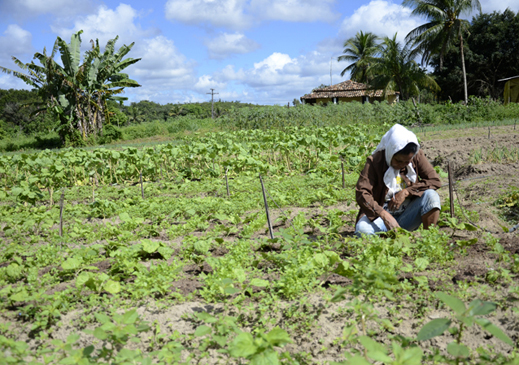 Agricultores familiares possuem atendimento exclusivo na SEMAG