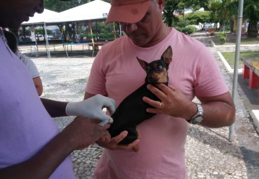 Campanha antirrábica já imunizou 13 mil cães e gatos; vacinação vai até 16 de Outubro