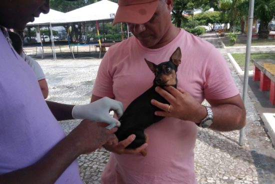 Campanha antirrábica já imunizou 13 mil cães e gatos; vacinação vai até 16 de Outubro