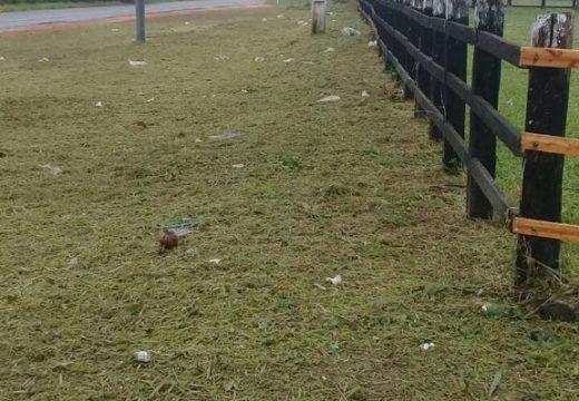Expo Alagoinhas: SESEP conclui serviços de limpeza e reparos no Parque de Exposições