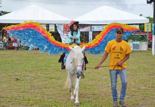 PARQUE ENCANTADO: No sábado, público brilhou e foi a grande estrela da Expo Alagoinhas