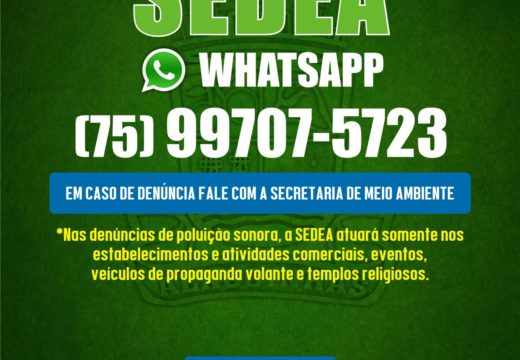 Prefeitura de Alagoinhas lança canal de denúncias sobre questões ambientais via WhatsApp