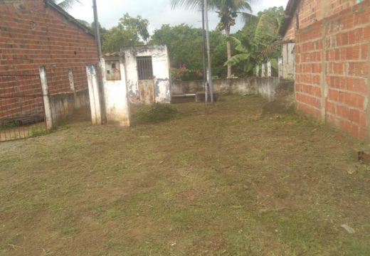 AÇÕES PREVENTIVAS: SAAE realiza serviços de roçagem em diversos pontos da cidade ao longo da semana