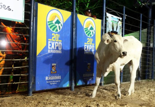 Expo Alagoinhas: Edição 2018 registra recorde de animais