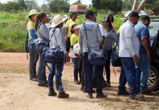 Alagoinhas avança no combate à Dengue