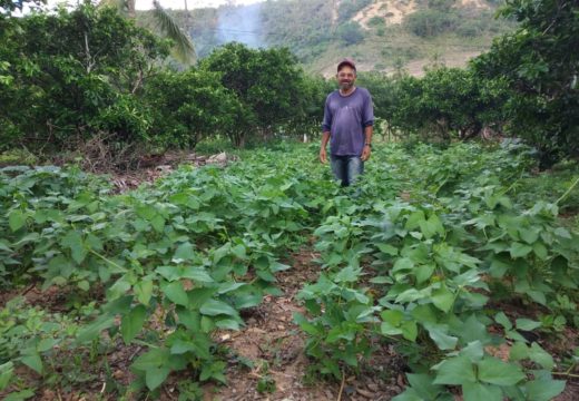 O cuidado com o solo como fonte de renda e desenvolvimento: Prefeitura promove conjunto de ações integradas para fortalecimento da agricultura familiar