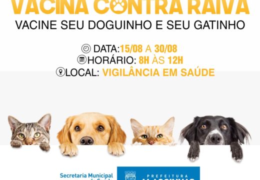 Prefeitura intensifica ação de vacinação antirrábica para cães e gatos