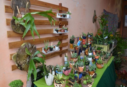 “Primavera no Mercado” reúne expositores de plantas e artesanato em Alagoinhas