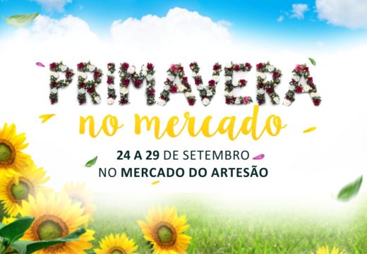 “Primavera no Mercado”, com expositores de plantas e artesanatos, começa nesta terça-feira (24)