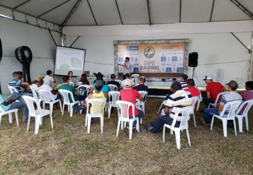 Expo Alagoinhas 2019 segue até domingo com shows, cursos, leilões e atrações para toda família