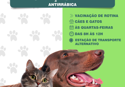 Vacinação antirrábica para cães e gatos será realizada às quartas-feiras na Estação de Transporte Alternativo