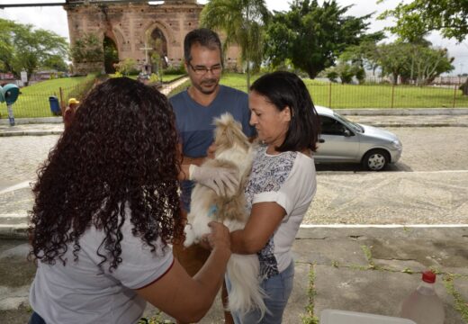 Campanha de vacinação antirrábica em Alagoinhas continua até 28 de setembro