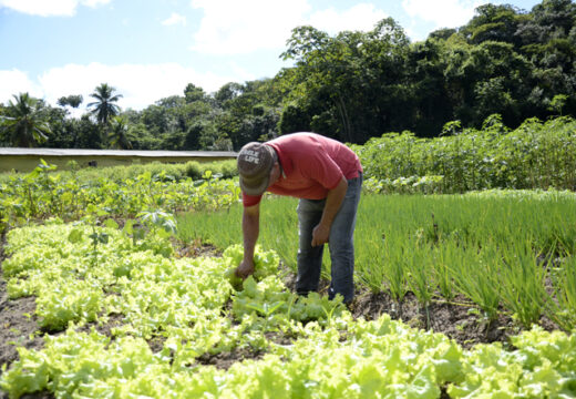 Pela primeira vez na história, Prefeitura de Alagoinhas realizará o Censo Rural; lançamento acontecerá dia 06 de dezembro