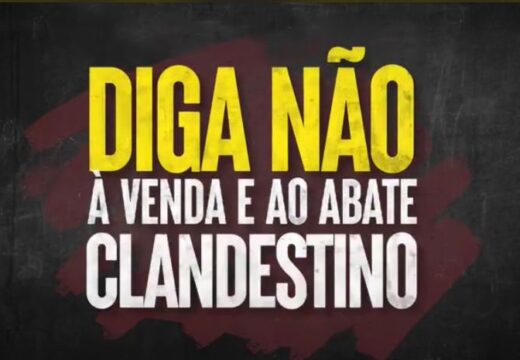Prefeitura de Alagoinhas promove campanha contra abate clandestino