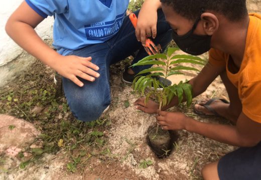 Iniciada nesta segunda-feira (30), Semana do Meio Ambiente terá o I Festival Sustentável de Alagoinhas em seu encerramento