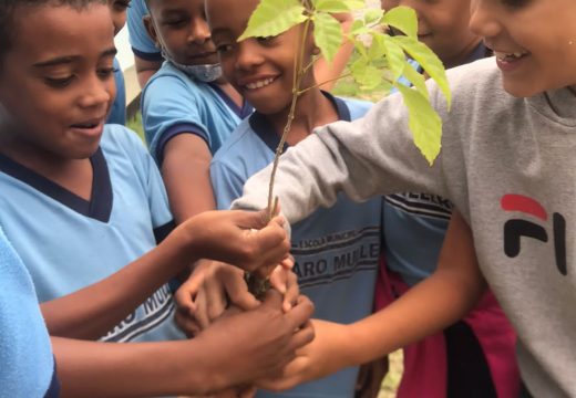 Mais novidades no I Festival Sustentável de Alagoinhas