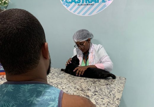Amigo Pet: Prefeitura já realizou mais de 120 castrações de cães e gatos