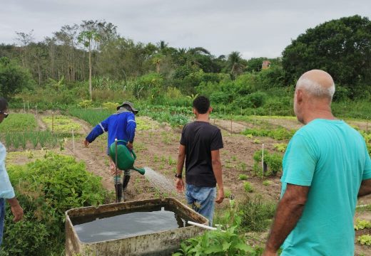 SEMAG realiza assistência técnica Rural e análise do solo nas áreas agrícola de Alagoinhas