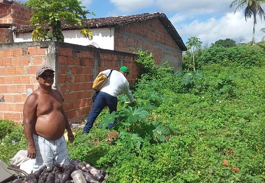 SESAU intensifica ações contra dengue em Alagoinhas