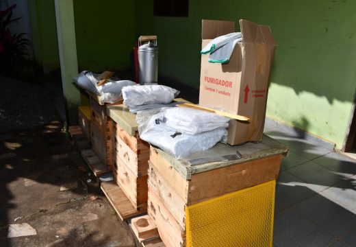 Apicultura: kits colmeia são entregues na região de Rio Branco