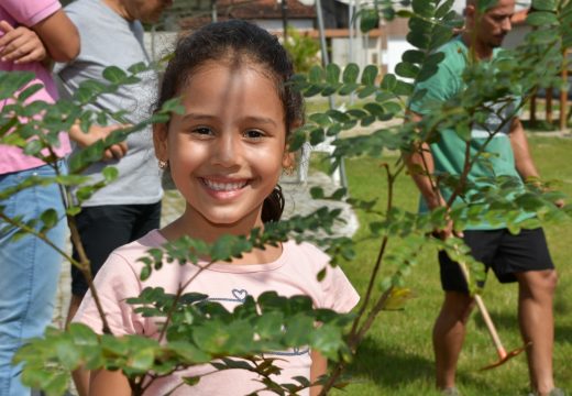 Ipês amarelos são plantados no Parque da Jaqueira em comemoração ao Dia da Árvore