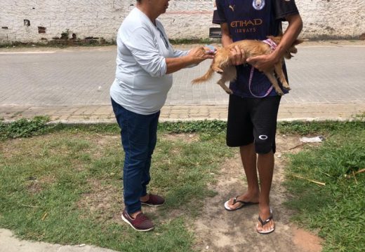 Vacinação antirrábica para cães e gatos é realizada às quartas e sextas na Vigilância em Saúde