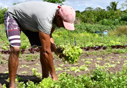 Agricultores familiares desenvolvem capacidades empreendedoras no projeto Empreender no Campo
