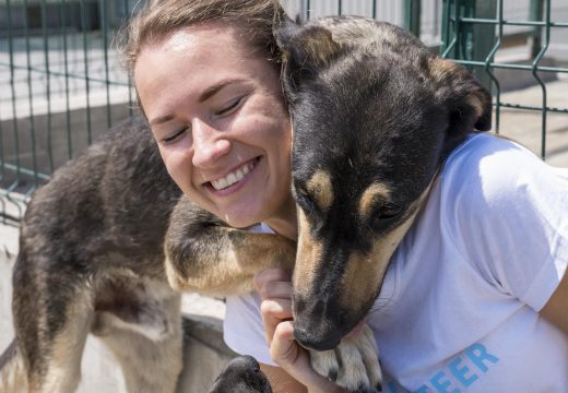 Prefeitura promove mais uma edição da Feira de Adoção de Animais neste sábado, 15