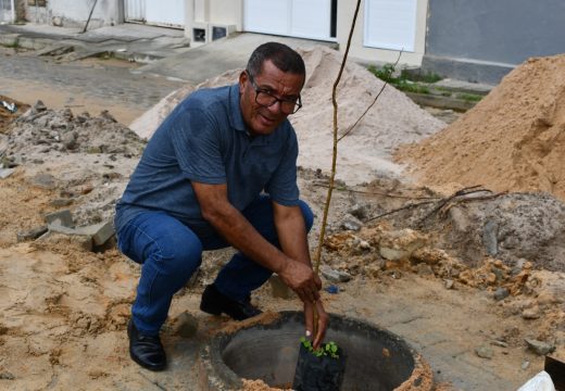 Prefeitura realiza plantio de mudas na rua 14 de Janeiro