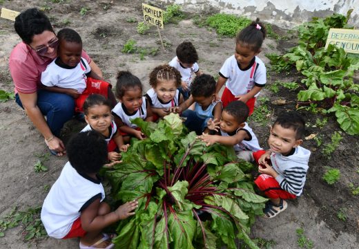 Horta escolar fortalece aprendizado e resgata cultura dos quintais em Alagoinhas