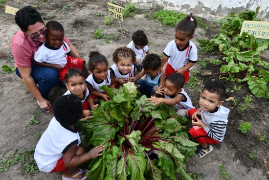 Horta escolar fortalece aprendizado e resgata cultura dos quintais em Alagoinhas