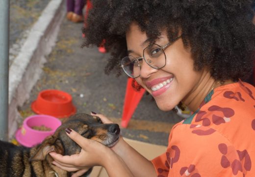 Feira de Adoção Animal proporciona novo lar para cães e gatos
