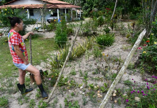 Alagoinhas inicia a emissão gratuita do Cefir/CAR para regulação ambiental e acesso de agricultores familiares ao Pronaf