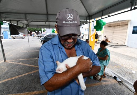 Feira de adoção proporciona novo lar para mais de 200 animais
