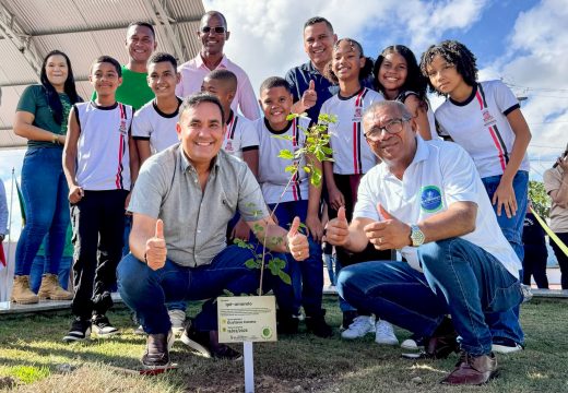 Alagoinhas Mais Verde: programa inicia plantio de mais de 3 mil árvores no centro urbano