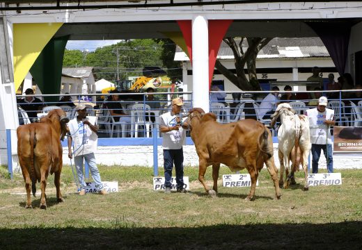 Com julgamentos ranqueados, Sealba Alagoinhas amplia o protagonismo da agropecuária nordestina
