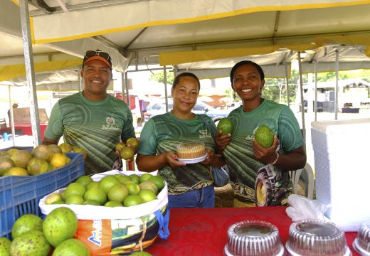 Sealba Alagoinhas impulsiona agricultura familiar e empreendedorismo rural