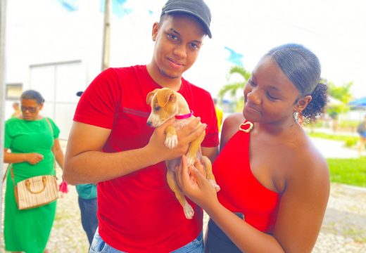 Feira de Adoção de Animais incentiva cuidado e promove novos lares para cães e gatos em Alagoinhas