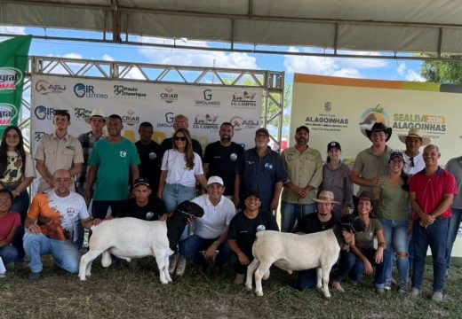 Julgamento ranqueado de ovinos eleva o patamar técnico da Sealba Alagoinhas