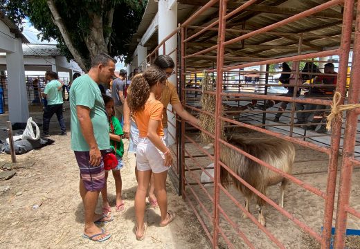Famílias visitam Parque de Exposições no encerramento da Sealba Alagoinhas 2026