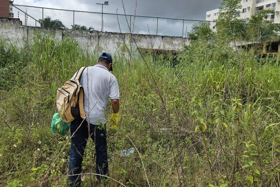Boletim epidemiológico: Alagoinhas divulga dados das arboviroses